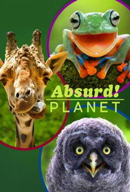 EN - Absurd Planet (2020)