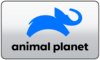 RS| ANIMAL PLANET ⱽᴵᴾ ᴿᴬᵂ