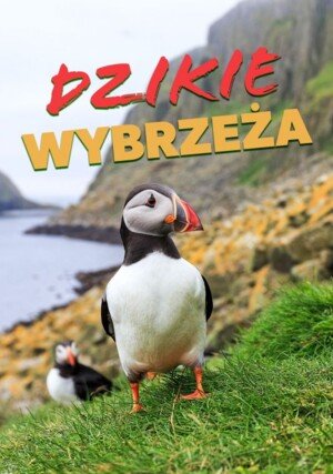 PL - Dzikie wybrzeża (2019) Dokument NATIONAL GEOGRAPHIC