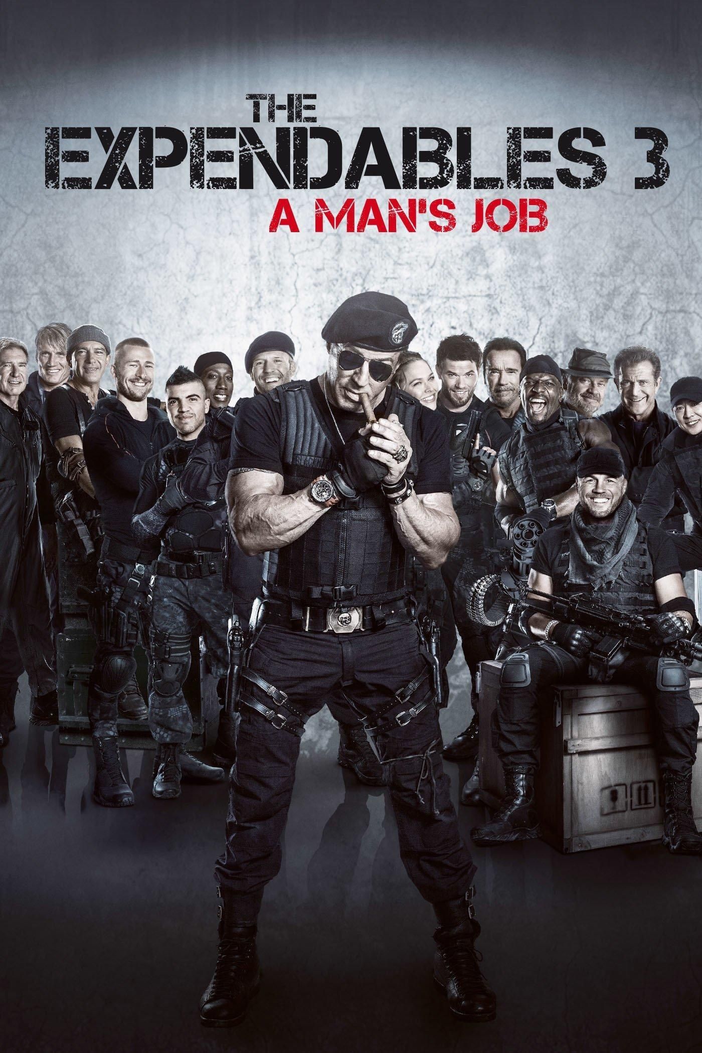 IN - The Expendables 3 2014