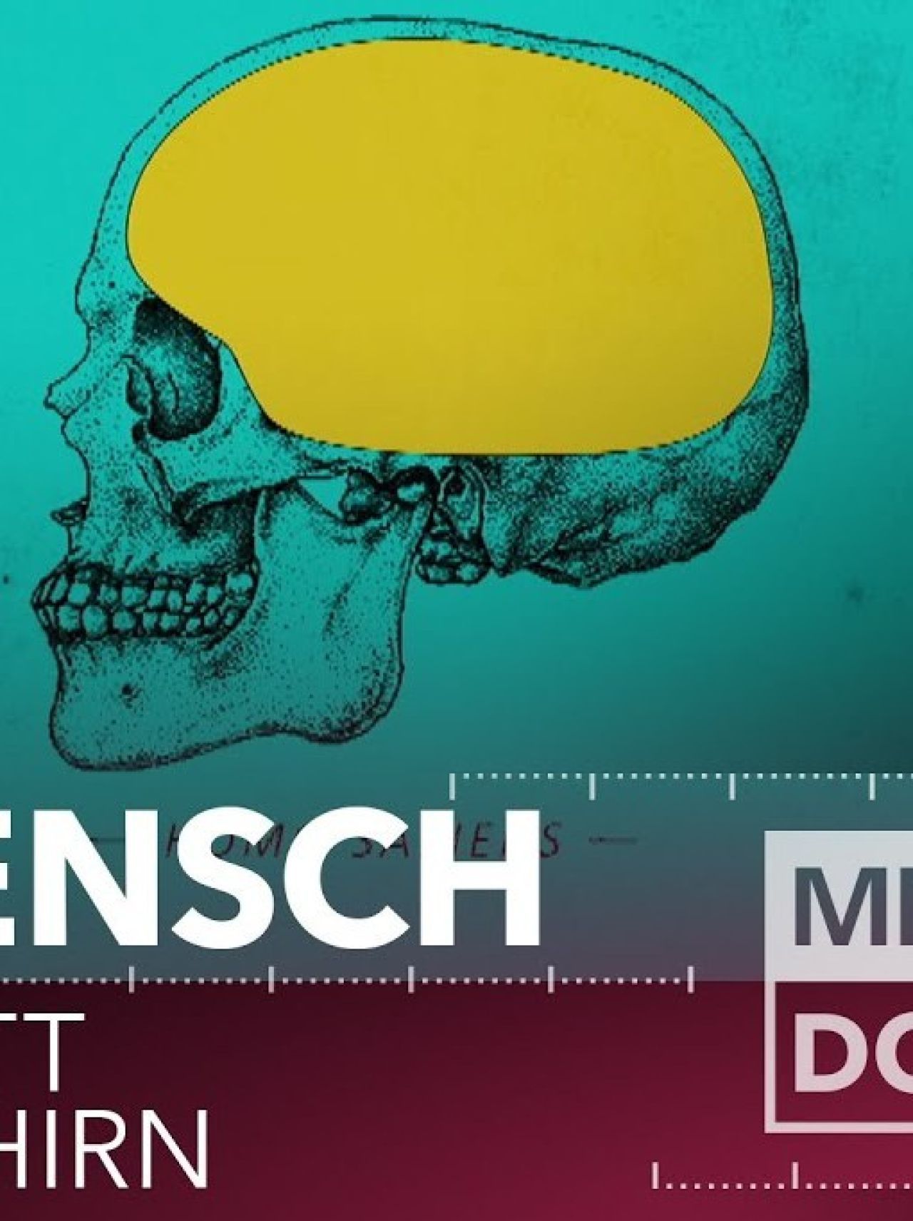 który stworzył mózg człowieka (2020) Dokument CANAL+