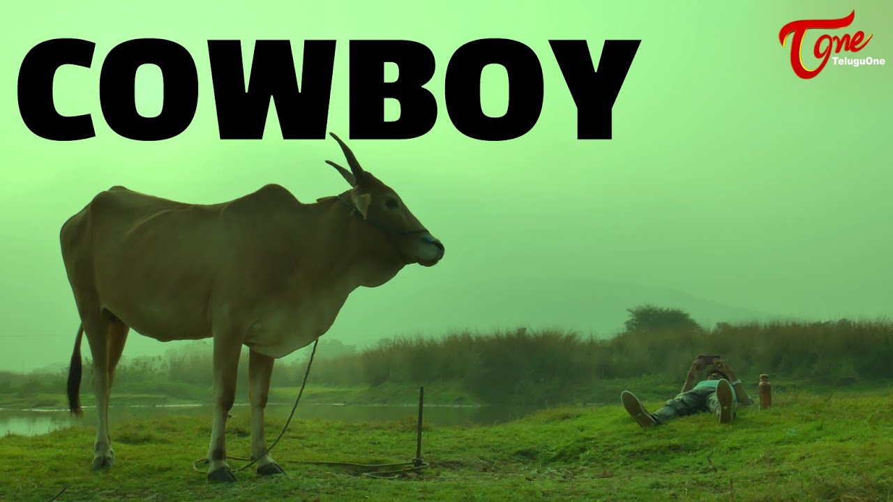GR - COWBOY