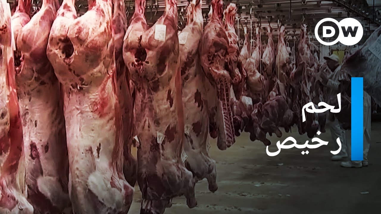 AR - وثائقي استغلال العمال الأجانب في ألمانيا