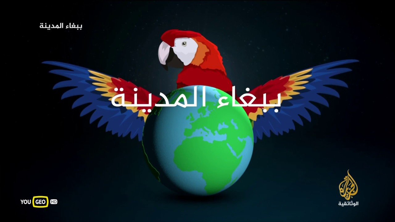 AR - وثائقي ببغاء المدينة