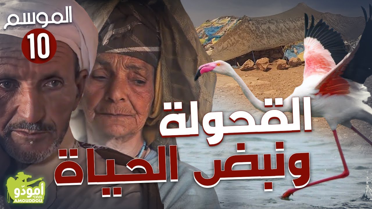 AR - وثائقي أمودّو القحولة ونبض الحياة