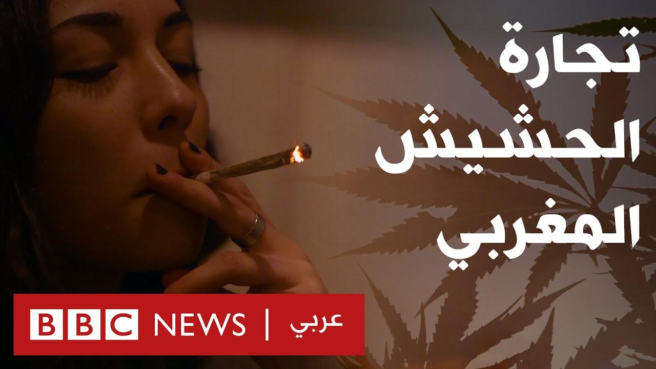 AR - وثائقي من يحقق الثراء من الحشيش المغربي؟