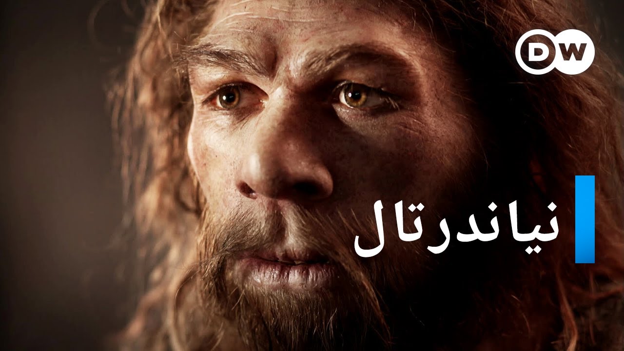 AR - وثائقي إنسان نياندرتال: ما هي أوجه التشابه بين إنسان نياندرتال والإنسان الحديث؟