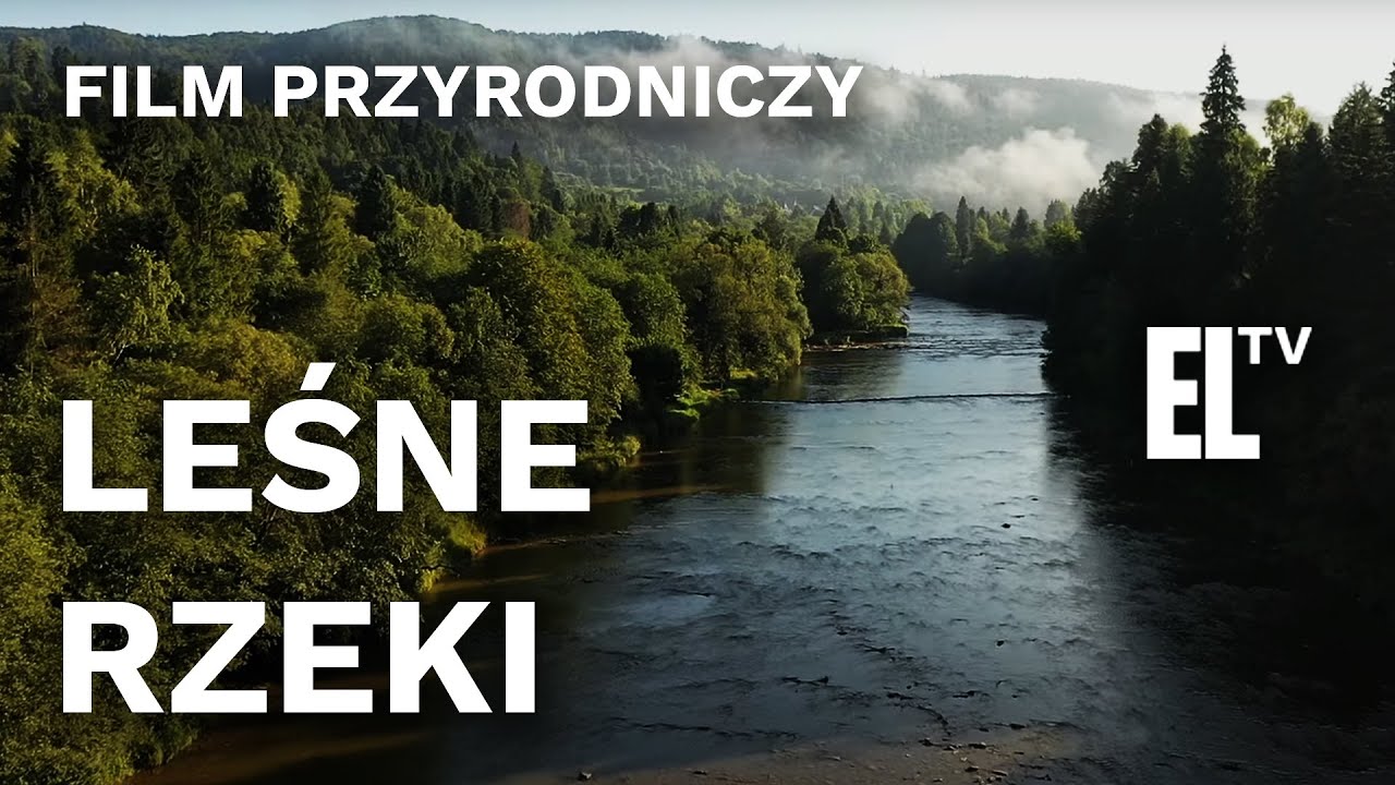 PL - LEŚNE RZEKI (2021) DOKUMENT - PRZYRODNICZY