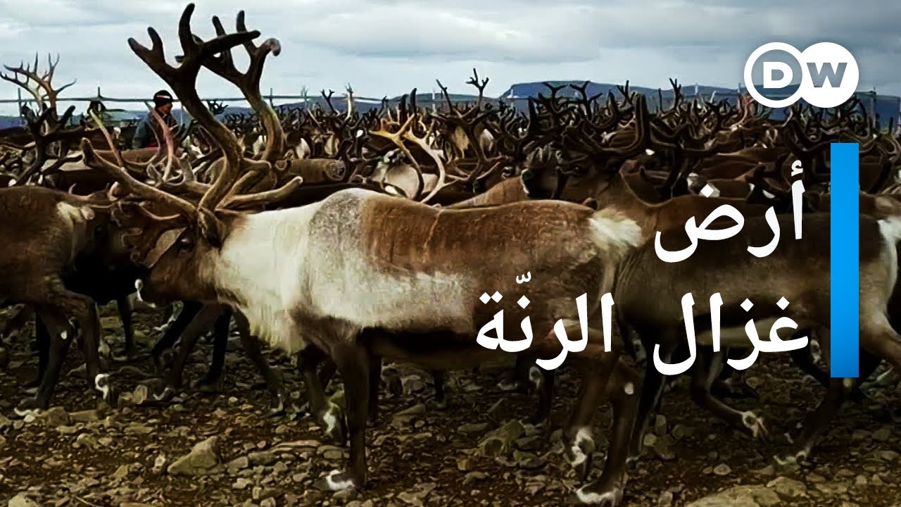 AR - وثائقي الصيد في الدائرة القطبية الشمالية: شعب سامي ضد السويد