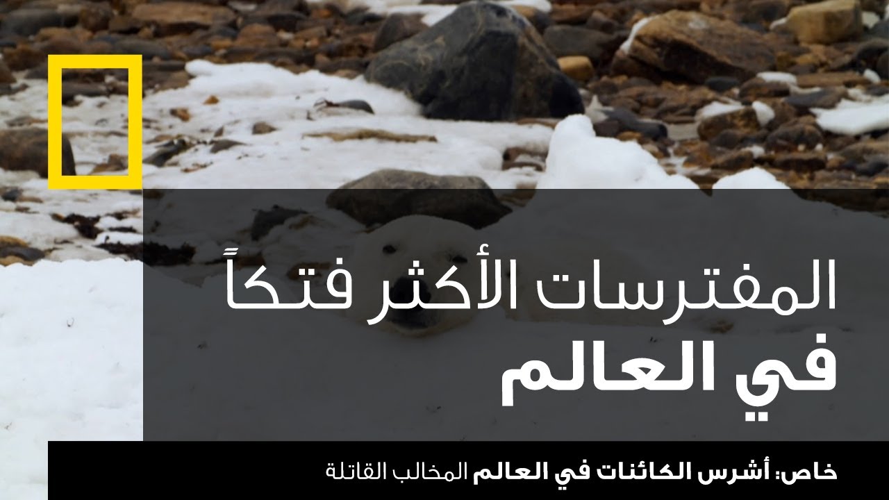 AR - وثائقي أشرس الكائنات في العالم المخالب القاتلة