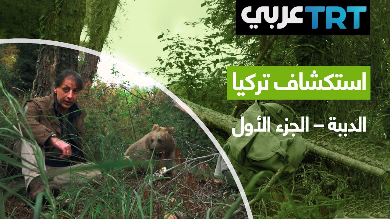 AR - 1 وثائقي سلسلة إكتشاف تركيا حلقة الدببة البنية