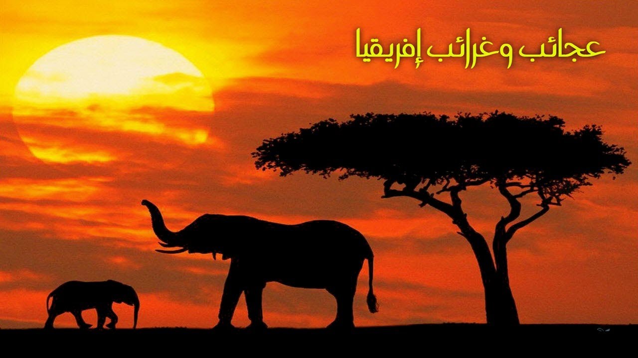AR - وثائقي عجائب أفريقيا
