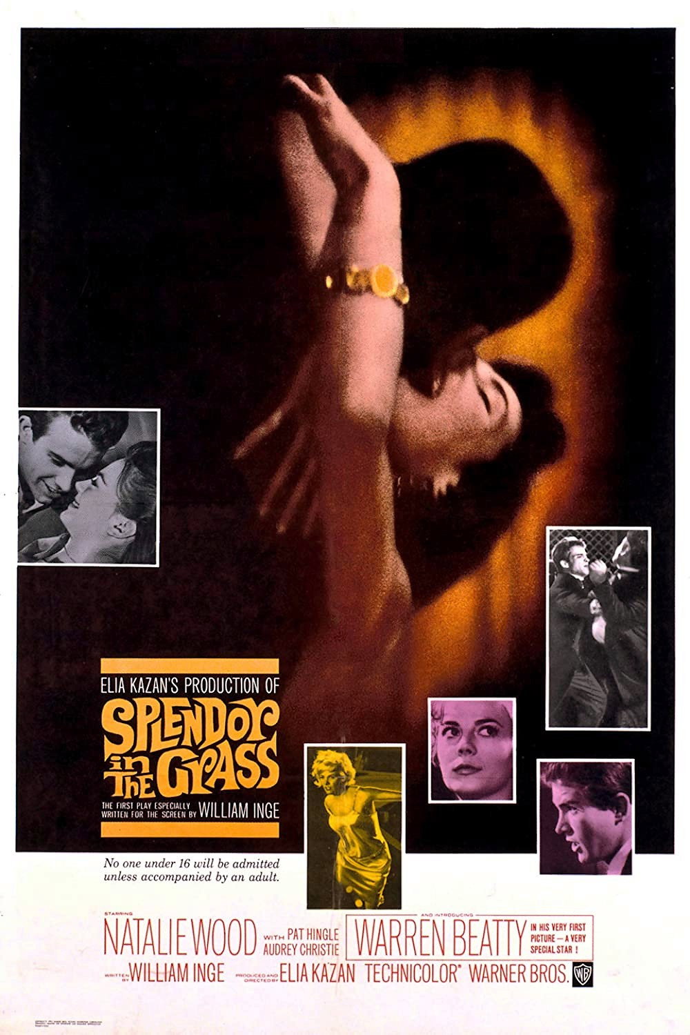 EN - Splendor In The Grass (1961)