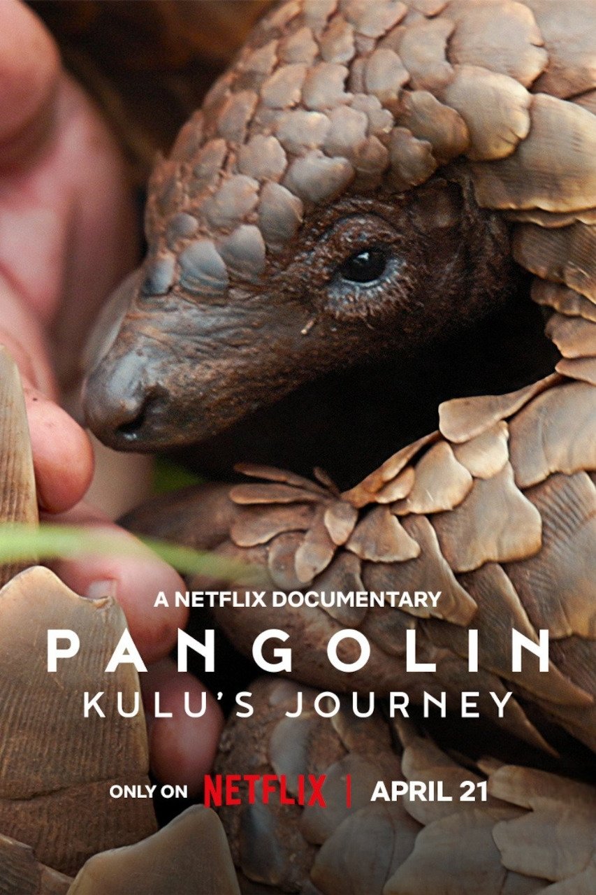 NF - Pangolin: Kulu's Journey (2025)