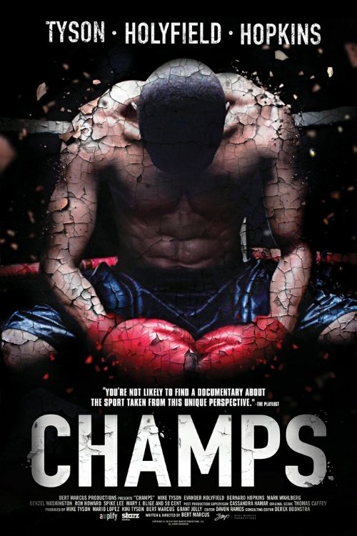 EN - Champs (2014) DENZEL WASHIGTON