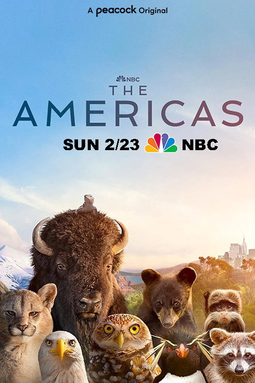 EN - The Americas (2025)
