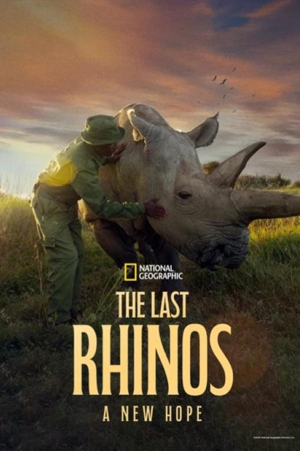 EN - The Last Rhinos A New Hope 4K (2025)