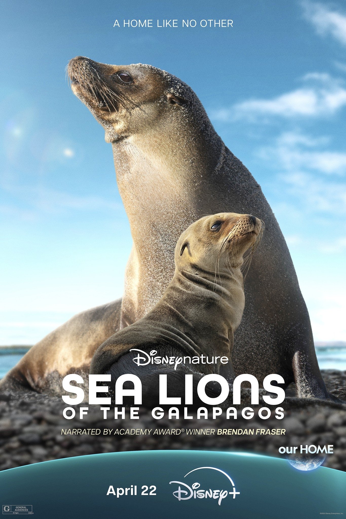 D+ - Sea Lions Of The Galapagos (2025)