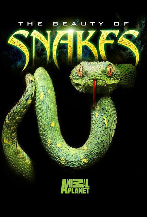 EN - The Beauty Of Snakes (2003)