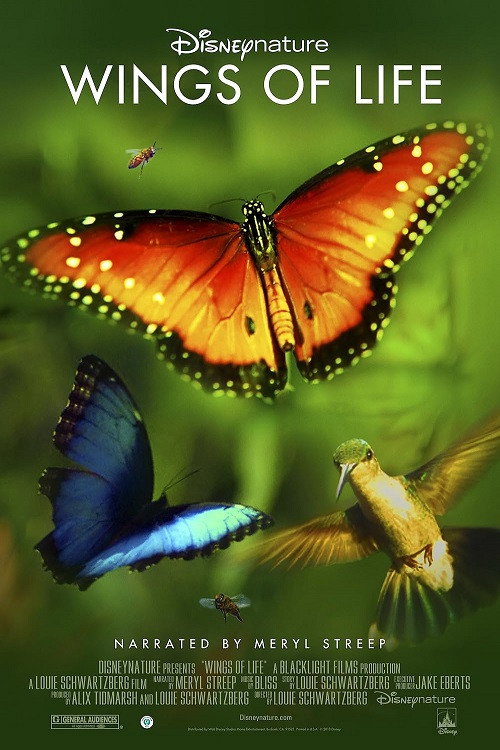 EN - Disneynature Wings Of Life (2011)