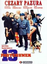PL - 13 POSTERUNEK