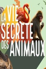 QFR - La vie secrète des animaux
