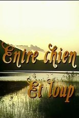 QFR - Entre chien et loup