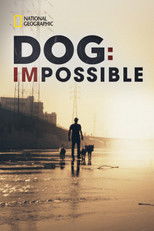NL - DOG IMPOSSIBLE