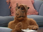 EX - ALF