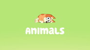 [SE] Bluey Minisodes (Svenskt Tal)
