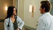 FR - Rebel