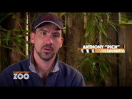 FR - Une saison au zoo
