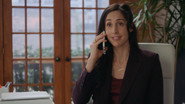 DE - Workin' Moms (2017)