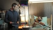PL - DR HOUSE
