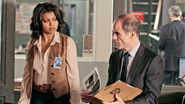 NL - PERSON OF INTEREST (2011)