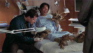 FR - Nip/Tuck
