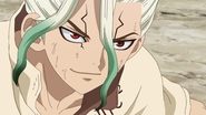 AR - Dr.Stone