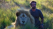 D+ - The Lion Ranger