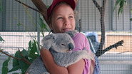 NF - Izzy's Koala World