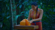EN - The Law Of The Jungle (2023)