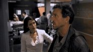 PT - Dr. House