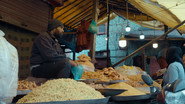 IN - The Kashmir Files: Unreported