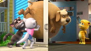 NF - Talking Tom and Friends