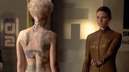 EX - Continuum