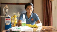 FR - The Cleaning Lady