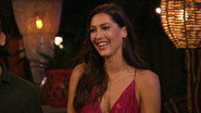 EN - Bachelor In Paradise US (2014)