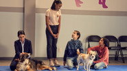 FR - Mission : adoption
