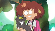 FR - Amphibia