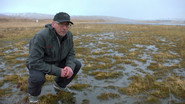NF - Pirate Gold of Adak Island
