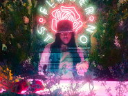 AR - Jungle (2022)